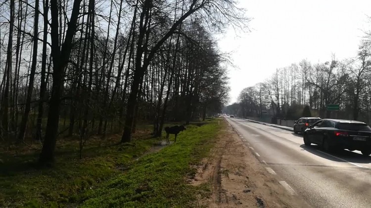 vid_20180410_085557.mp4